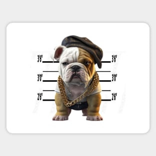 Cute Puppy Bulldog Criminal Lineup Usual Suspect Magnet